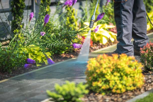 Best Restaurant Pressure Washing  in Norton Center, MA